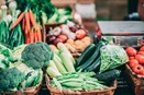 Fibre and Diet